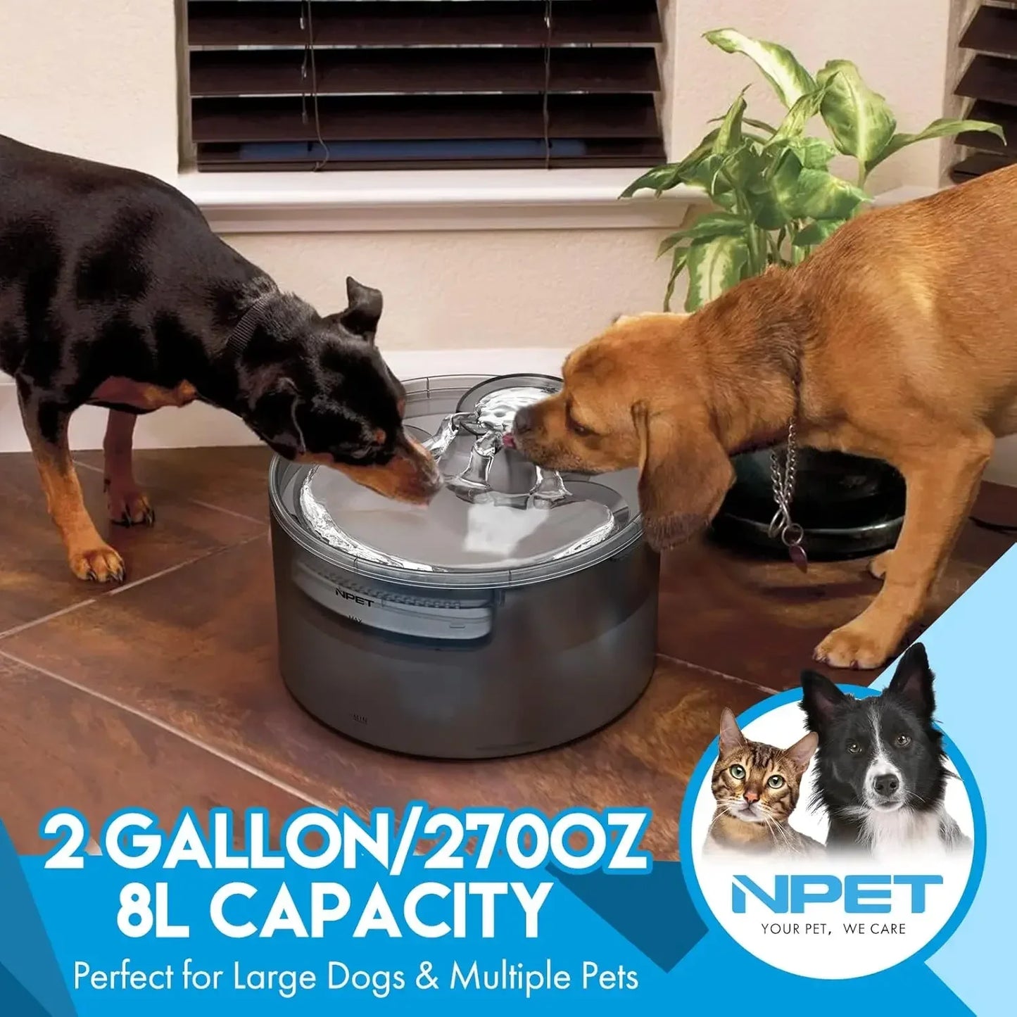 NPET Dog Water Fountain 2 Gallon Large Automatic Dog Water Dispenser with Splatter Guard for Large Dogs and Multiple Pets