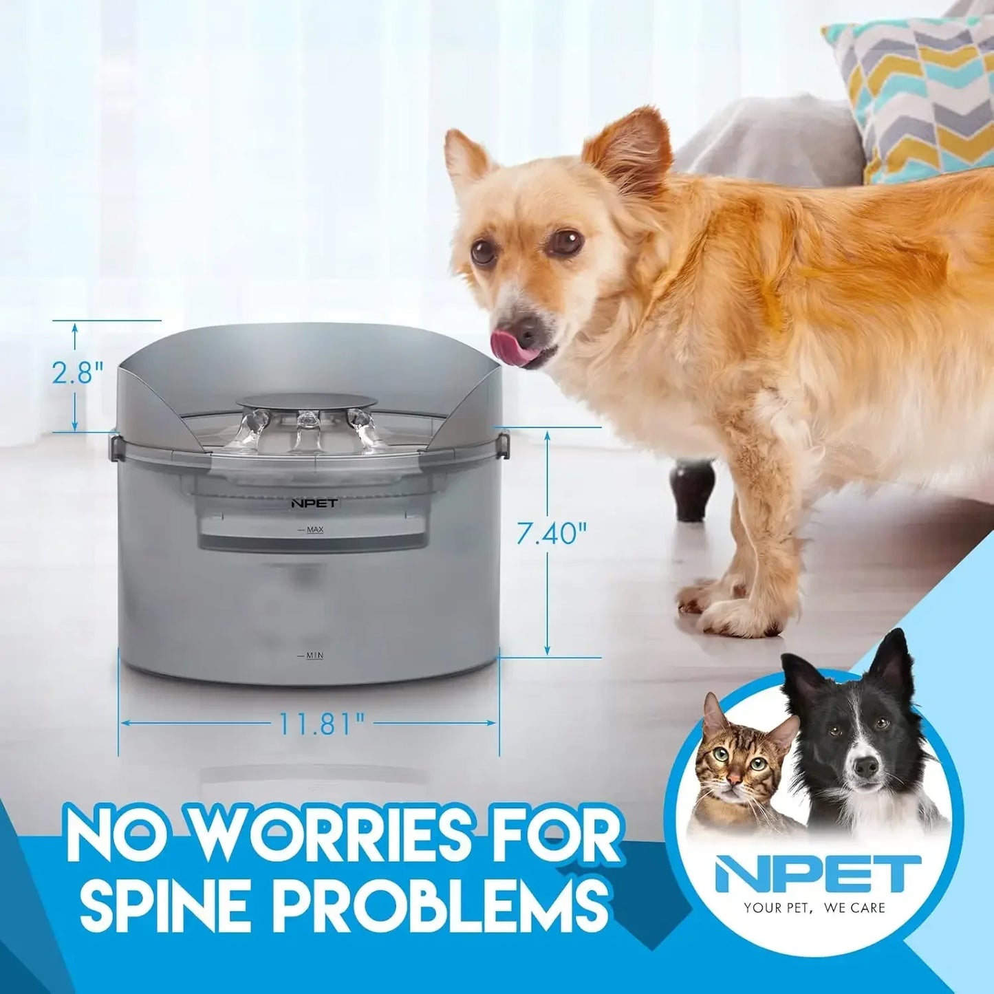 NPET Dog Water Fountain 2 Gallon Large Automatic Dog Water Dispenser with Splatter Guard for Large Dogs and Multiple Pets