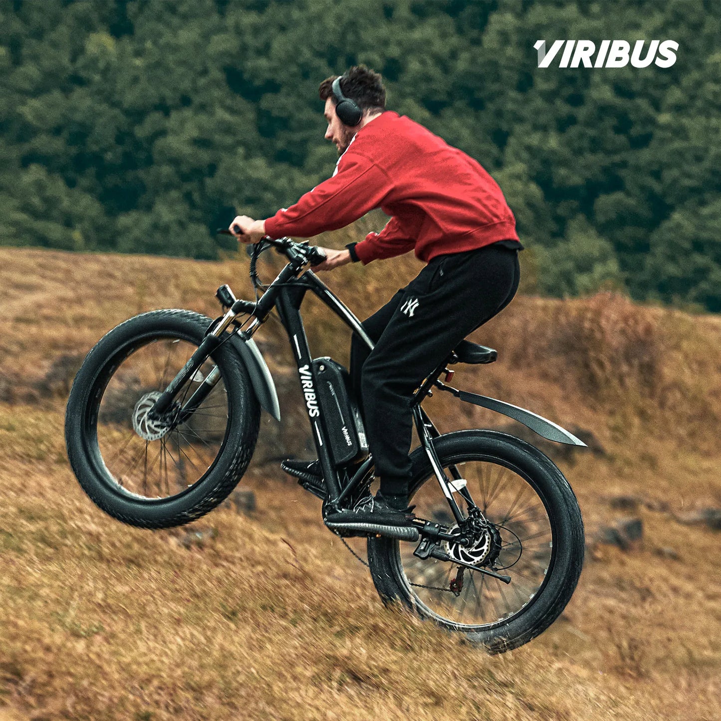 500W Fat Tire eBike 48V Electric Bike for Adults 21 Speed 26" Fat Tire Mountain Ebike 48V 10Ah Battery 20mph PAS